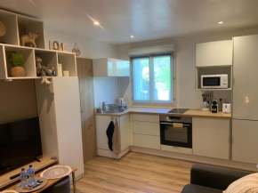 APPARTEMENT TYPE STUDIO SANTENY (20 m2)
